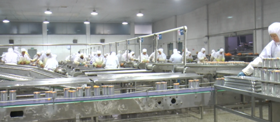 宜昌嘉源食品引進政策解析 助推企業(yè)高質(zhì)量發(fā)展